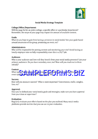 Social Media Strategy Template 3 pdf free
